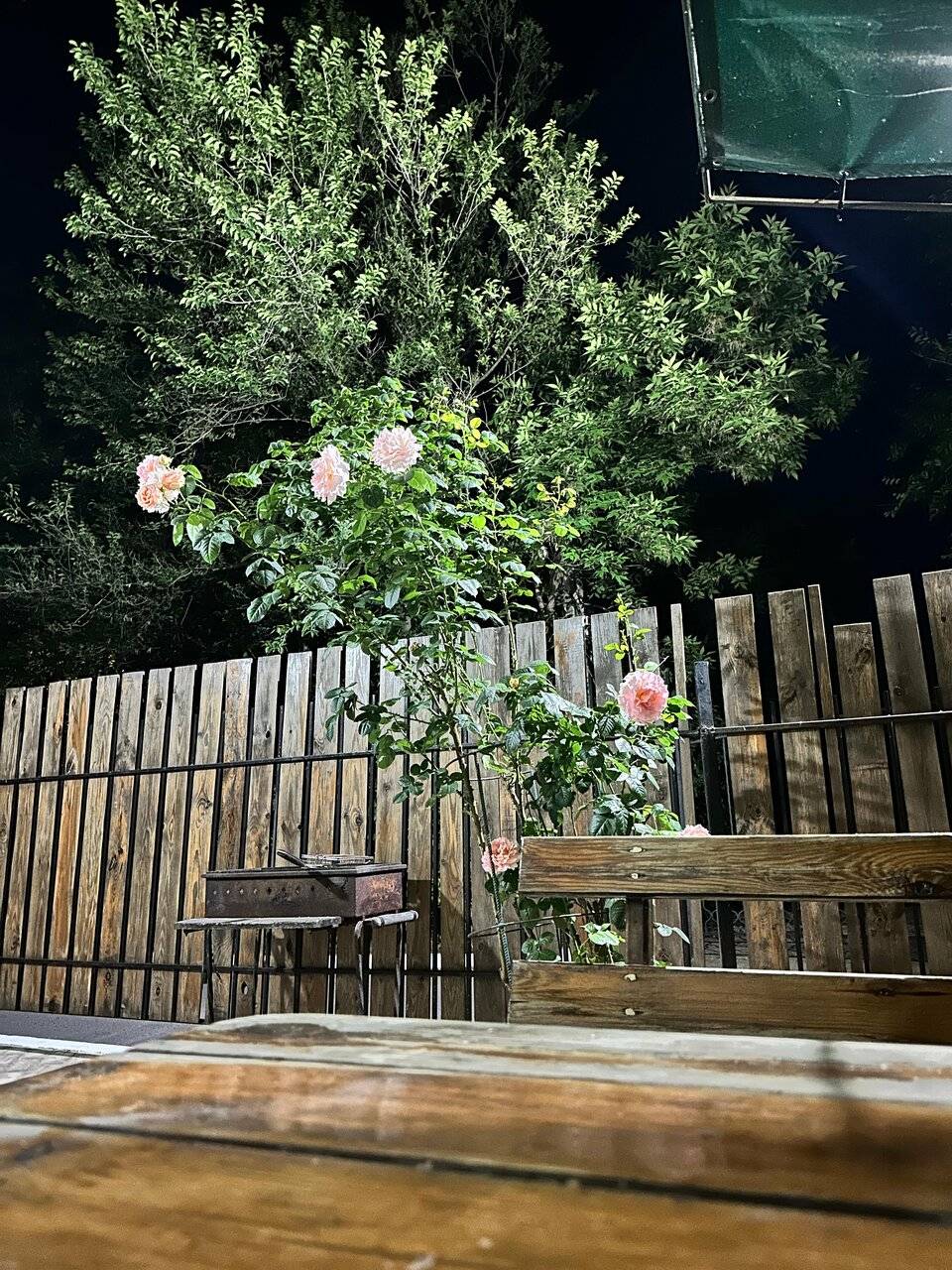 Фото Гостиницы Ассоль Саки 159